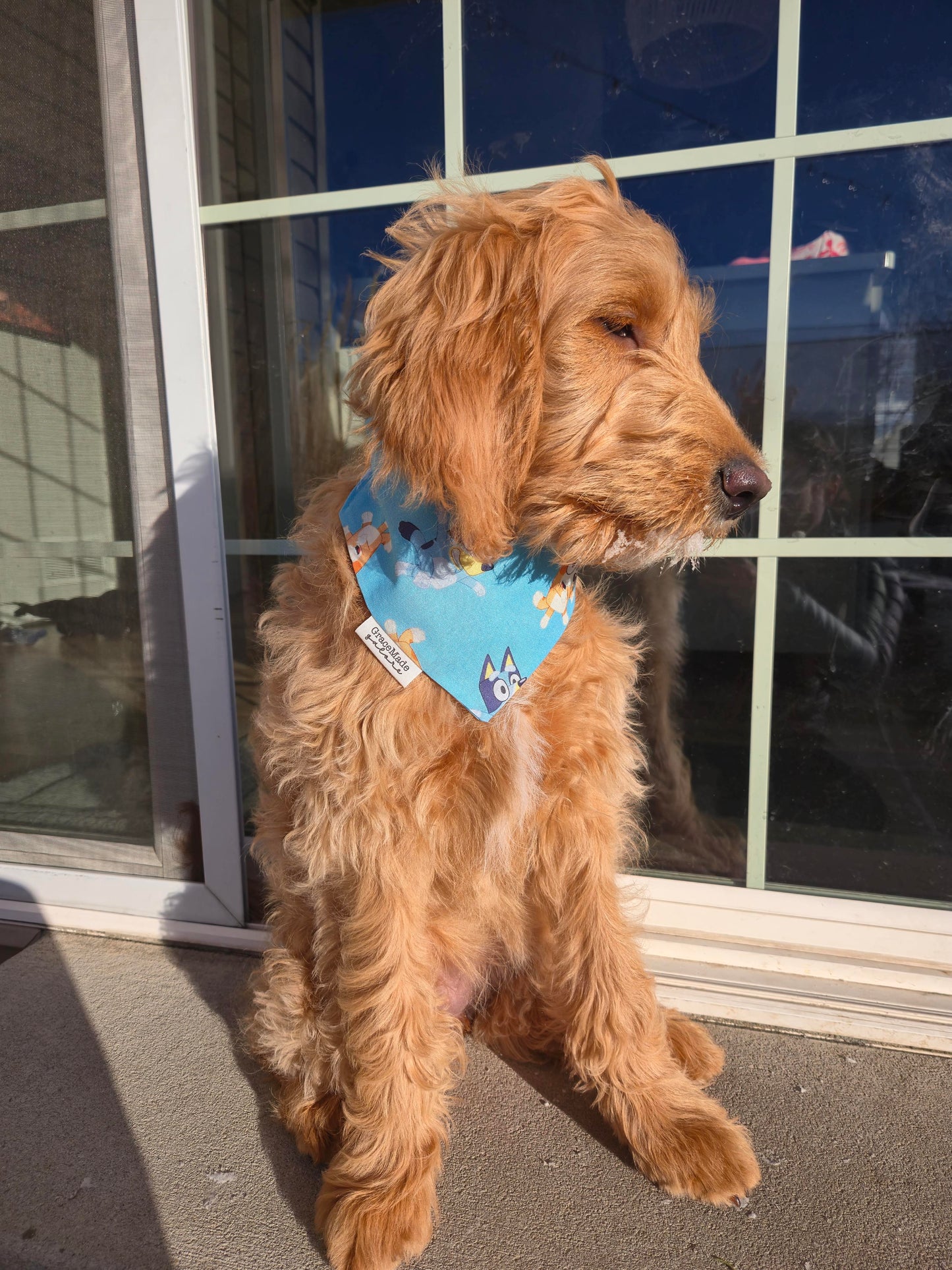 Bluey Bandana