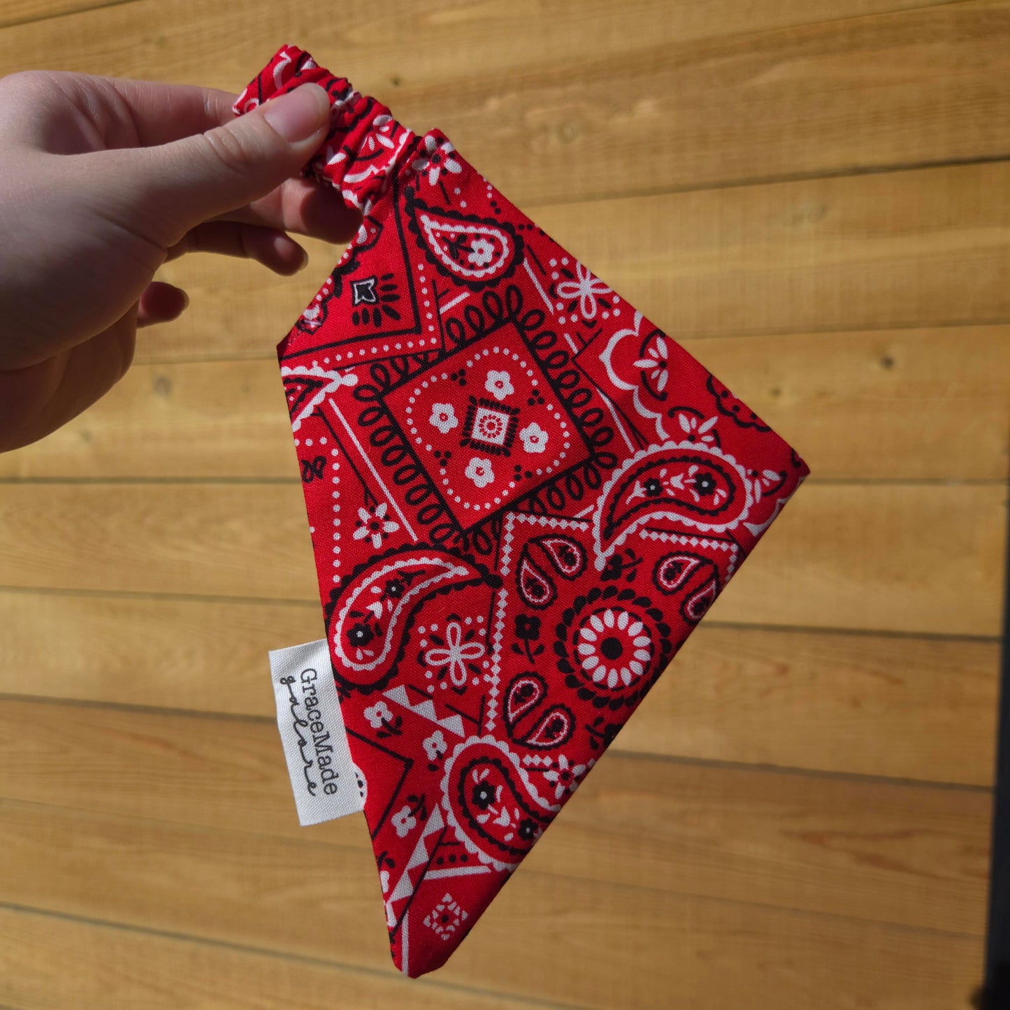 Red Paisley Bandana