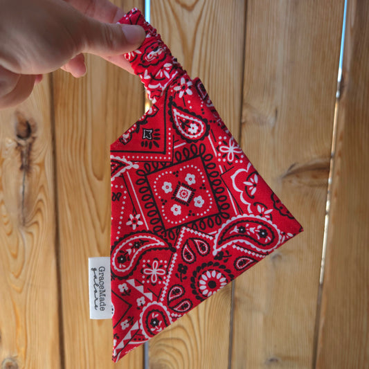 Red Paisley Bandana